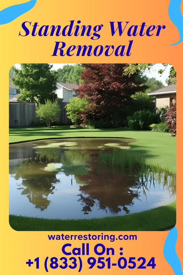 Standing Water Removal in Learned, MS